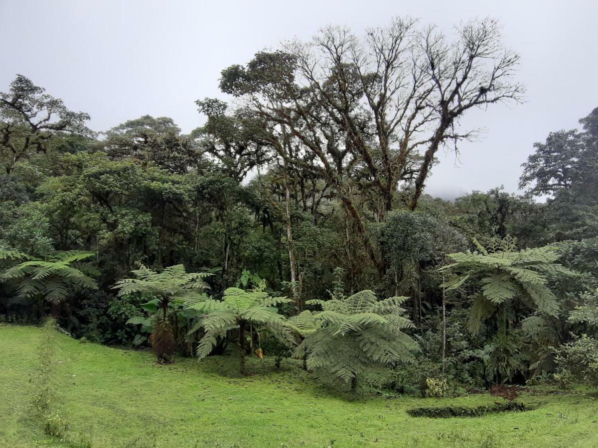 Mindo Loma Bird Lodge Bagian luar foto